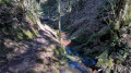 Ruisseau du Phény