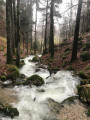 Brenet-See über den Mont d'Orzeires und den Crêt des Alouettes