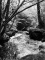 Ruisseau en cascade