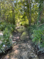 stream at the end of the walk