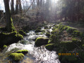 Ruisseau Laufbach.