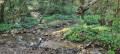 ruisseau le long du sentier