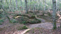 ruisseau le Mescurt