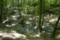 Ruisseau Rolland en été Ruisseau Rolland en été