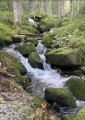 Ruisseau sur le chemin du saut de la bourrique Ruisseau sur le chemin du saut de la bourrique