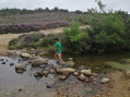 ruisseau ruisseau