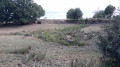 Ruisseau