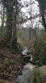 Ruisseau
