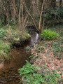 ruisseau