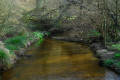 Ruisseau