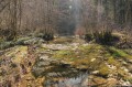 Ruisseau