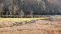 Ruisseau de Grand fontaine