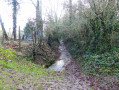 Ruisseau