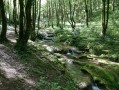 Espace naturel sensible de la Couasne de Floirac