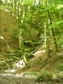 Ruisseau Ruisseau