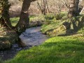 Ruisseau