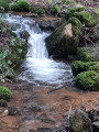 ruisseau
