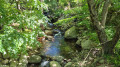 RUISSEAU