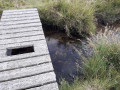 ruisseau ruisseau