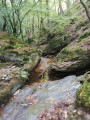 Dans la vallée du Gier