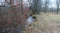 Ruisseau