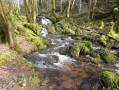 Ruisseau
