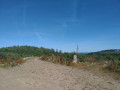 Runde am Druidenstein Runde am Druidenstein