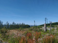 Kurze Runde am Druidenstein