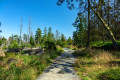 Rundweg um das Große Torfhausmoor