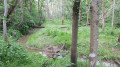 Autour de l'ancienne ligne de chemin de fer Failly-Nouilly Autour de l'ancienne ligne de chemin de fer Failly-Nouilly