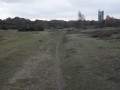 Rushmere Heath