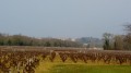 Saint-Fiacre depuis l'Enclose Saint-Fiacre depuis l'Enclose