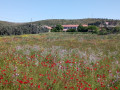 Sentier des vignerons - Boucle de la Venise Provençale