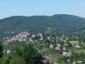 Dauphin