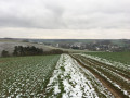 Mares, abreuvoir et lavoirs, vallons et forêts en pays d'Othe