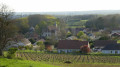 Coteaux du Giennois depuis Saint-Père