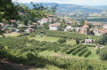 Saint-Romain Saint-Romain