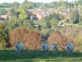 Saint-Sauveur-en-Puisaye