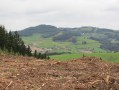 Saint-Vincent-de-Reins