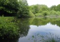 Etang Etang