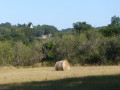 Boucle de la Brogne