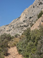sainte Victoire  vue du chemin
