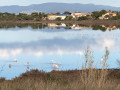 Salin de Pesquiers