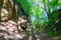 Vom Hahnenkammsee zum Hechlinger Hohlweg und Ruine St. Katharina