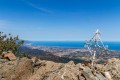 Sant'Angello