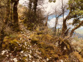 Sentier sur la crête Sentier sur la crête
