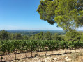 Saumane de Vaucluse