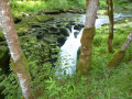 Source de l'Ain Source de l'Ain