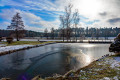 Schleifweiher im Winter