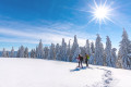 Schneeschuhtrail zum Wiedener Eck (Nr. 3)